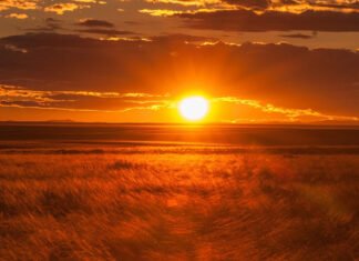 Só o SENHOR é importante