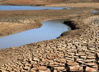 Para ler e refletir: o futuro da água no planeta
