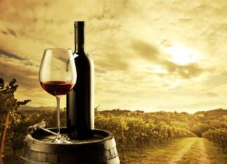 Entrevista de INRI CRISTO ao Vida Vegetariana