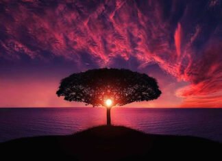 INRI CRISTO responde sobre “mindfulness” e imaginação