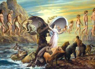 10 – Espiritismo, cirurgias espirituais, precursor Alziro Zarur, LBV, Allan Kardec, Chico Xavier