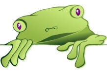 Metáfora da rã que não sabia que estava sendo cozida