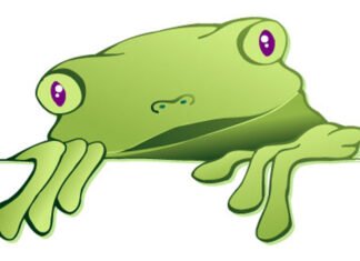 Metáfora da rã que não sabia que estava sendo cozida