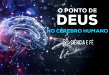 O Ponto de DEUS no cérebro humano